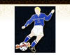 Niagara Falls USA Soccer Player