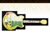 Orlando Roller Coaster Guitar