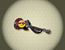 100 Dead Rocker