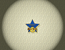 000 Training Star 2004