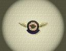018 8th Anniversary 2000