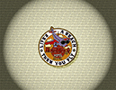 903 Airplane Logo