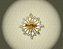 902 Sun