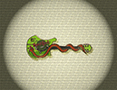 132 Snake