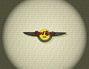 900 Air Wings