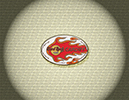 900 Rugby Ball