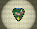 901 Guitar Pic