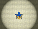 000 Training Star 2004