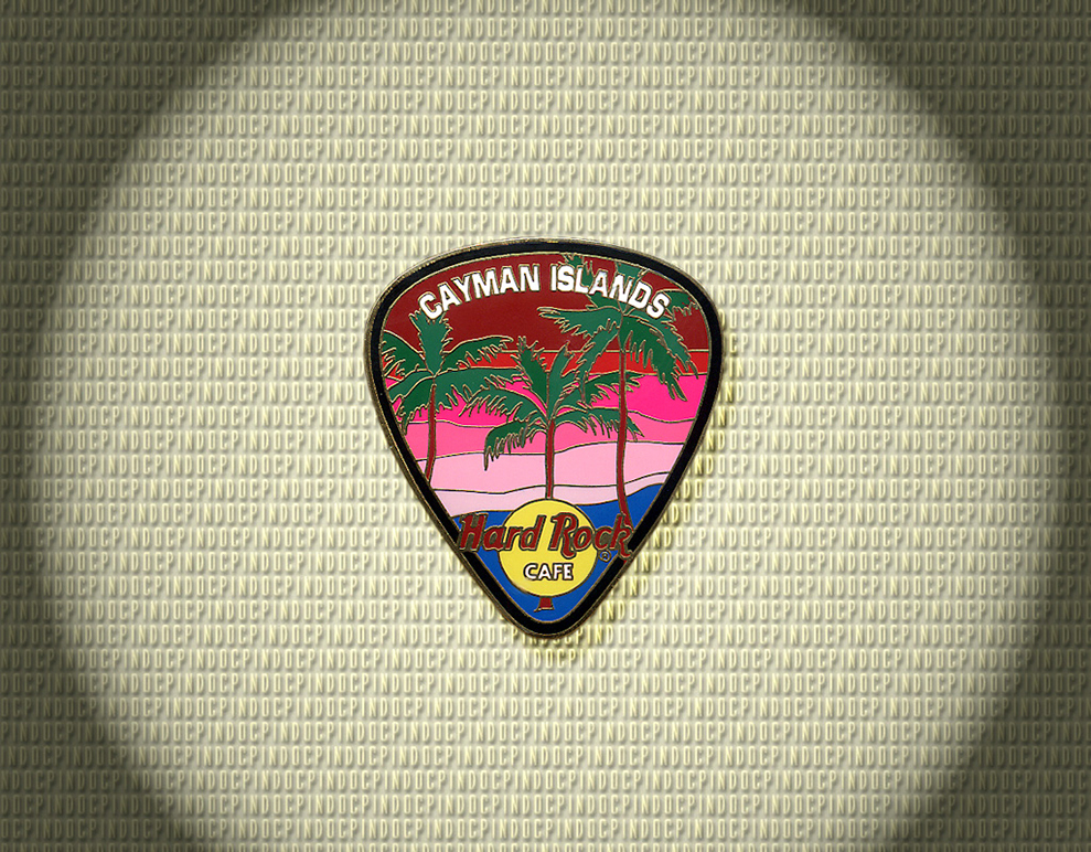 904 Guitar Pick