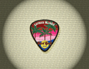 904 Guitar Pick