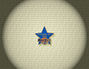 000 Training Star 2003
