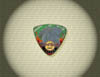 900 Dragon Guitar Pick