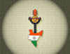 102 Flag Guitar