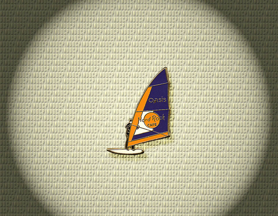 901 Windsurfer
