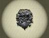 900 Silver Skull