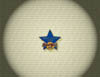 000 Training Star 2005