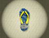 920 Flip Flop