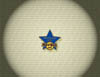 000 Training Star 2007