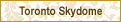 Toronto Skydome